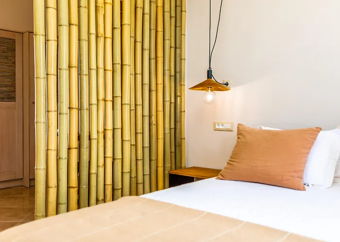 Ariadne Aparthotel Agios Prokopios (Naxos)